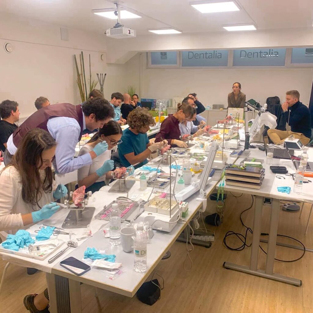 clase de anatomía dental