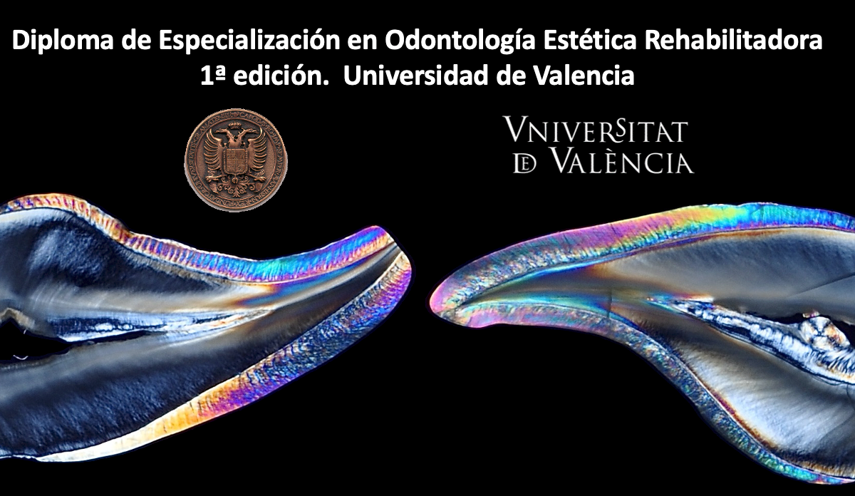 curso sobre color en la universidad de valencia