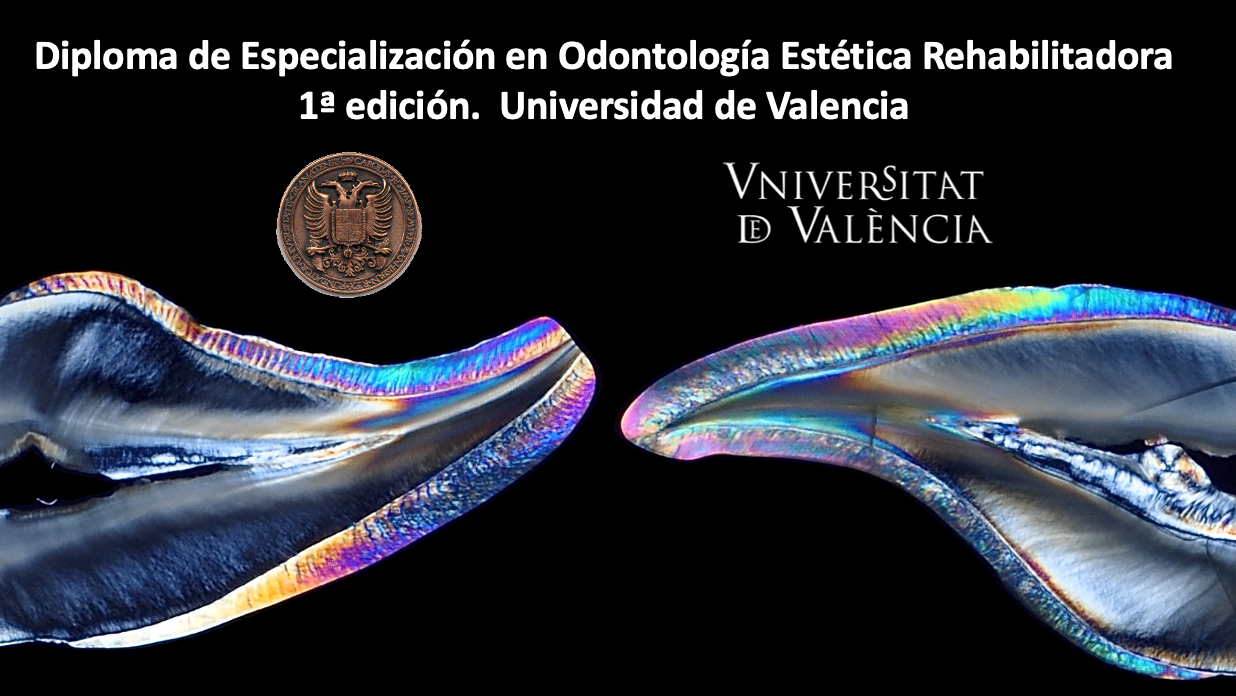 curso sobre color en la universidad de valencia